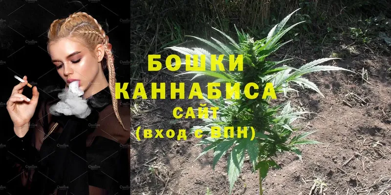 kraken ССЫЛКА  Западная Двина  Шишки марихуана тримм 